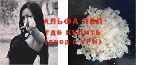 прущие грибы Абаза