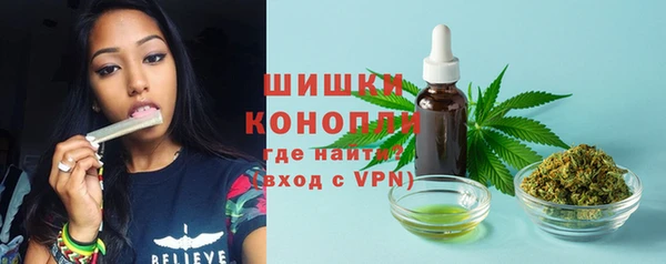 прущие грибы Абаза