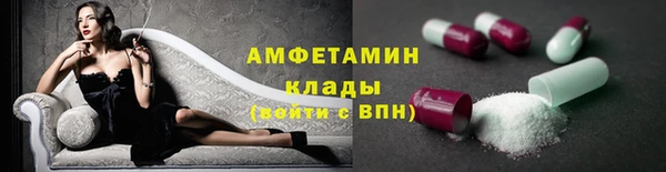 прущие грибы Абаза