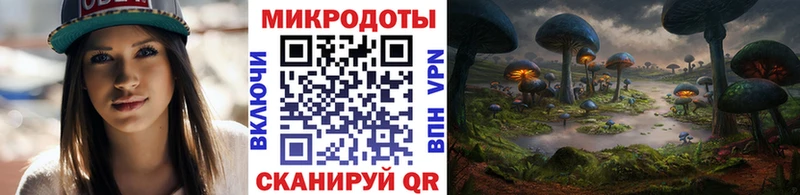 kraken ONION  Кизляр  Псилоцибиновые грибы Psilocybe  купить  
