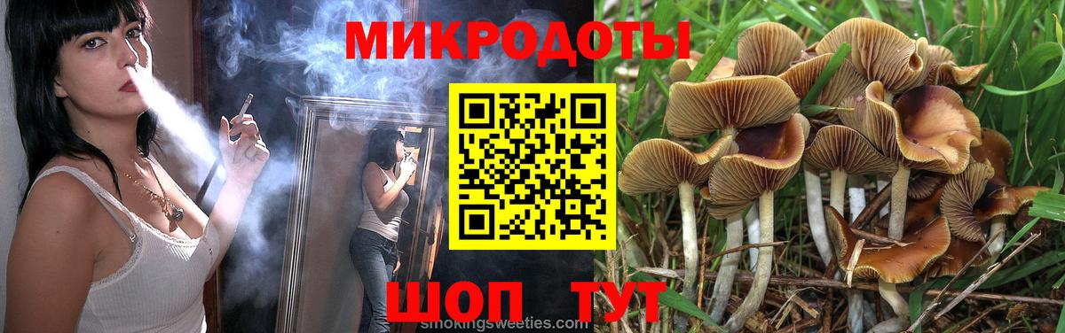 Псилоцибиновые грибы мицелий Кизляр