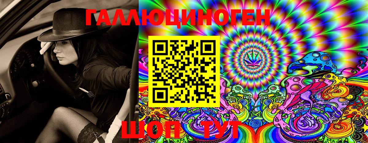 Псилоцибиновые грибы Cubensis  Вход с VPN  Кизляр 